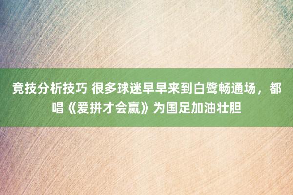 竞技分析技巧 很多球迷早早来到白鹭畅通场，都唱《爱拼才会赢》为国足加油壮胆