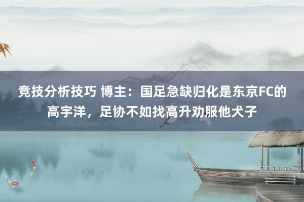 竞技分析技巧 博主：国足急缺归化是东京FC的高宇洋，足协不如找高升劝服他犬子