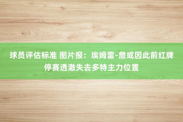 球员评估标准 图片报：埃姆雷-詹或因此前红牌停赛透澈失去多特主力位置