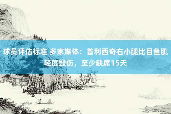 球员评估标准 多家媒体：普利西奇右小腿比目鱼肌轻度毁伤，至少缺席15天