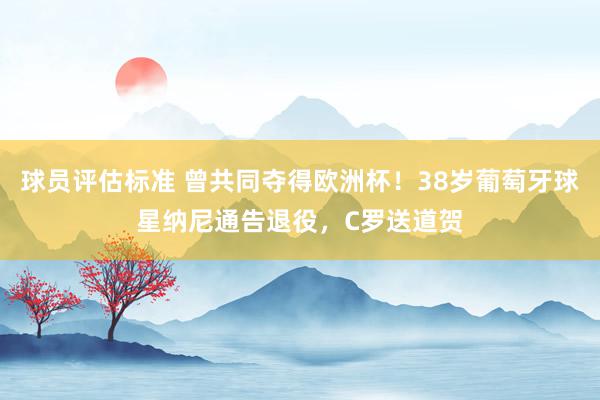 球员评估标准 曾共同夺得欧洲杯！38岁葡萄牙球星纳尼通告退役，C罗送道贺