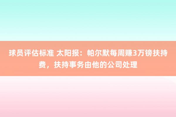 球员评估标准 太阳报：帕尔默每周赚3万镑扶持费，扶持事务由他的公司处理