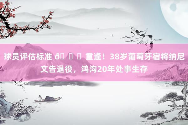 球员评估标准 👋重逢！38岁葡萄牙宿将纳尼文告退役，鸿沟20年处事生存