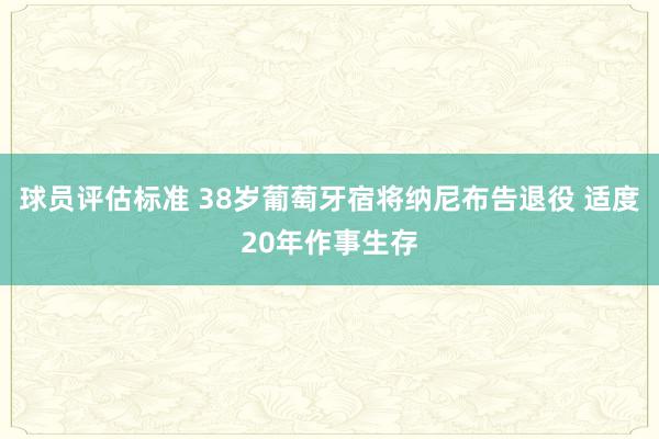 球员评估标准 38岁葡萄牙宿将纳尼布告退役 适度20年作事生存